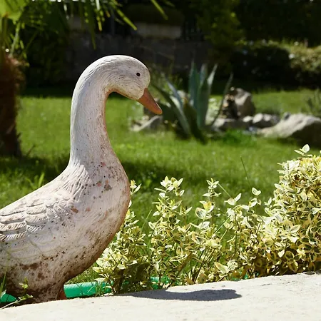 With Parking Space Icici, Opatija - 7885 Daire *