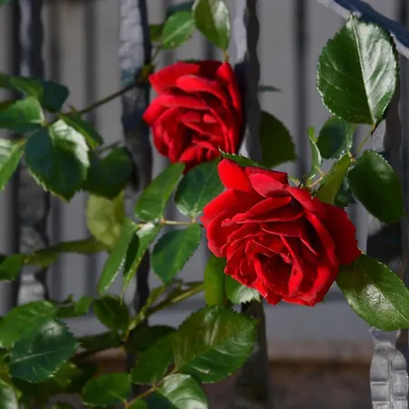 Daire With Parking Space Icici, Opatija - 7885 Poljane