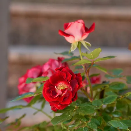 With Parking Space Icici, Opatija - 7885 Daire